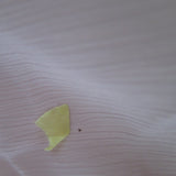 [DEFECT] Meringue Cycle Jacket