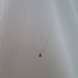 [DEFECT] Offwhite Sparrow XS