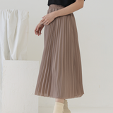 Nut Slate Pleated Skirt